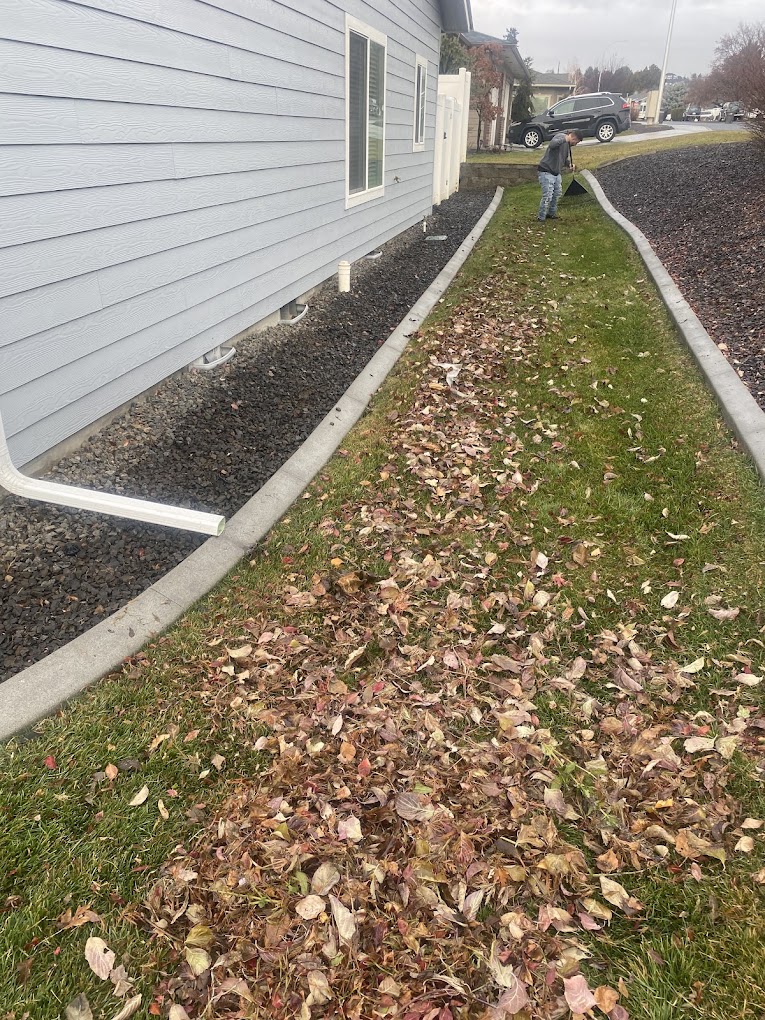 Fall Cleanup